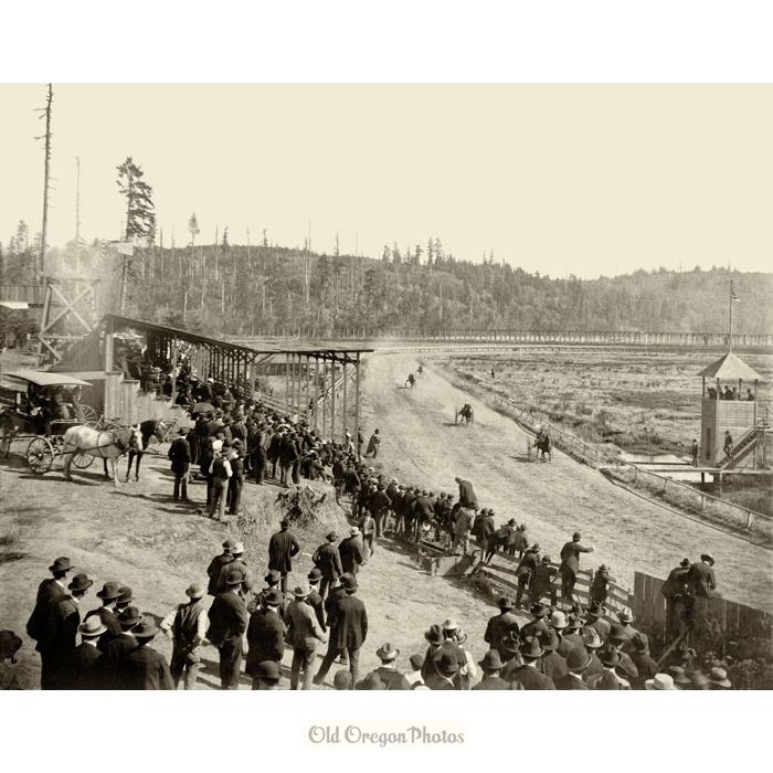 Harness Racing in Coos County - Ernest A. Stauff