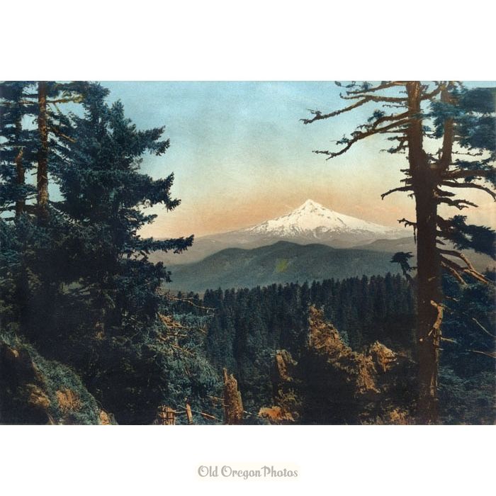 Mt. Hood from Larch Mountain, Horizontal - Clarence L. Winter