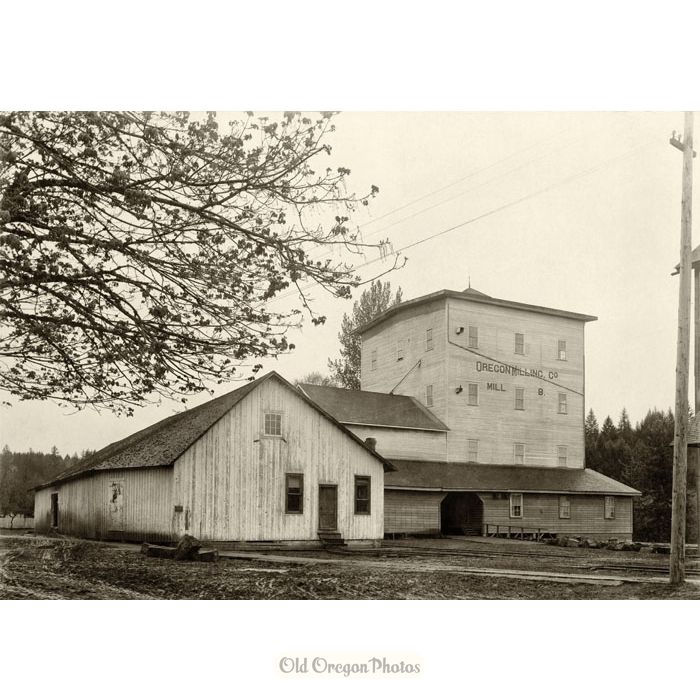 Oregon Milling Co., Mill B, Silverton - June D. Drake