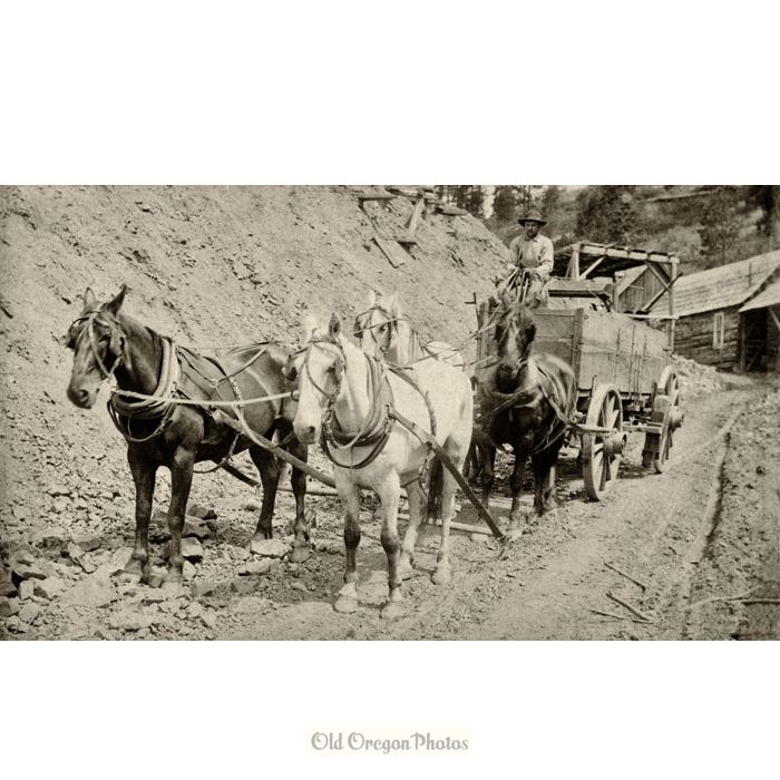 Horse Drawn Mining Wagon near La Grande - John C Clark