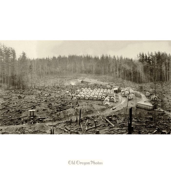 Weyerhaeuser Railroad Logging Camps 4 & 3 - Clark Kinsey