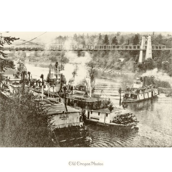 Steamboats Gathered for Oregon City Jubilee