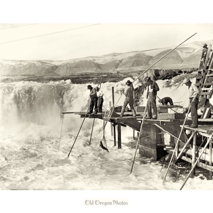 An Elaborate Fishing Platform at Celilo Falls c 1942